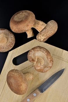 Fresh shiitake mushrooms, wooden cutting board with knife on it and dark towel arranged on black background
