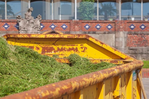 Orange skip with plant waste , Germany