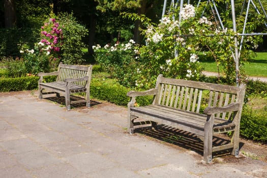 Old wooden benches in a park, Germany