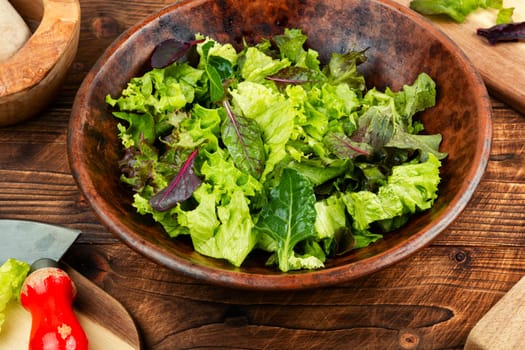Mix of fresh green salad leaves. Keto or paleo diet