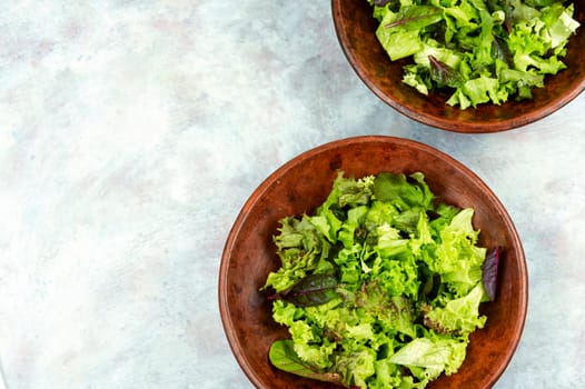 Mix of fresh green salad leaves. Keto or paleo diet