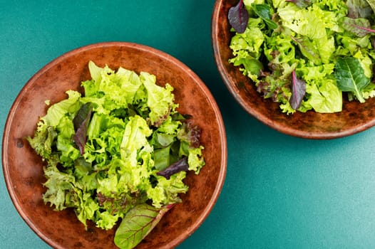 Mix of fresh green salad leaves. Keto or paleo diet