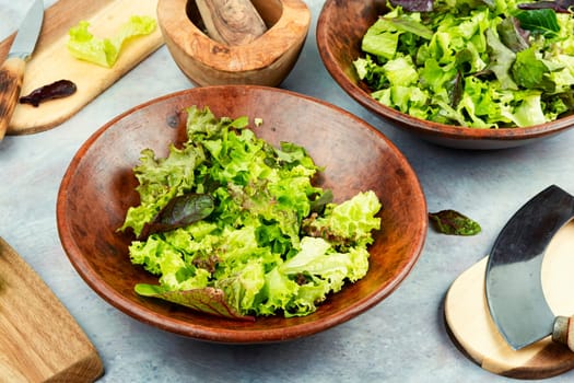 Mix of fresh green salad leaves. Keto or paleo diet