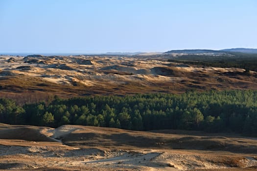 Early spring nature of nordic dunes, Baltic sea and Curonian spit, Nida, Klaipeda, Lithuania at sunset