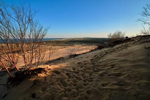 View of nordic dunes, Baltic sea and Curonian spit, Nida, Klaipeda, Lithuania at sunset on early spring.