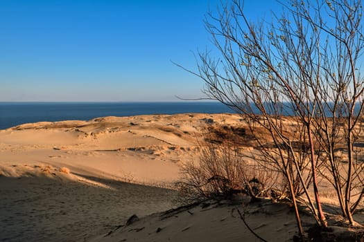 View of nordic dunes, Baltic sea and Curonian spit, Nida, Klaipeda, Lithuania at sunset on early spring.