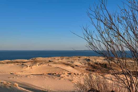 View of nordic dunes, Baltic sea and Curonian spit, Nida, Klaipeda, Lithuania at sunset on early spring.