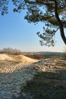 Early spring nature of nordic dunes, tree and footpath, Baltic sea and Curonian spit, Nida, Klaipeda, Lithuania at sunset