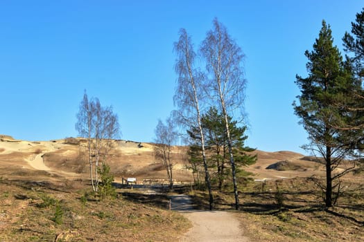 Early spring nature of nordic sand dunes, forests and footpath, Baltic sea and Curonian spit, Nida, Klaipeda, Lithuania at sunset