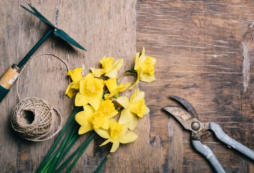 Flower bouquet and gardening tool on vintage wooden table from above. Top view of yellow narcissus on rustic background. Florist workshop still life. Vintage floral bridal diy decor for wedding. Springtime craft.