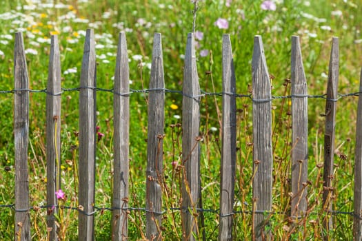 Old wooden garden fence with flower meadow, Germany