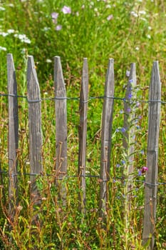 Old wooden garden fence with flower meadow, Germany