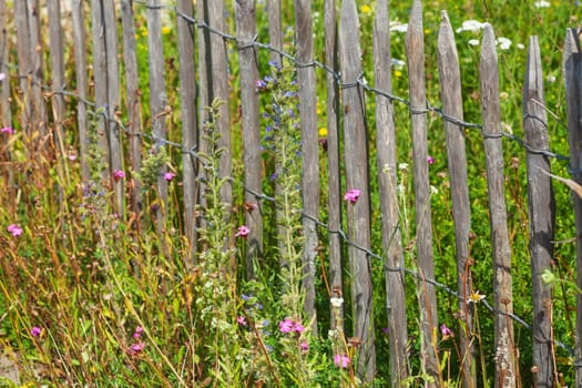 Old wooden garden fence with flower meadow, Germany