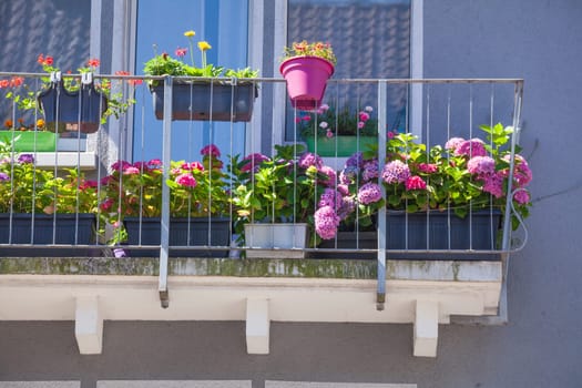 Balcony with flower boxes, colorful flowers and windows on a modern residential building, Bremen, Germany