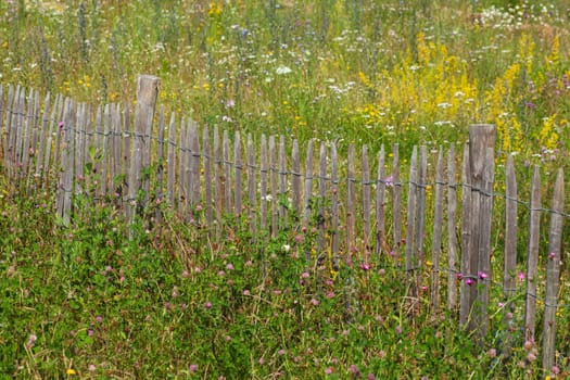Old wooden garden fence with flower meadow, Germany