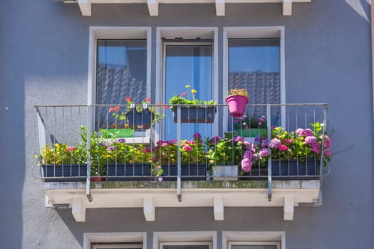 Balcony with flower boxes, colorful flowers and windows on a modern residential building, Bremen, Germany