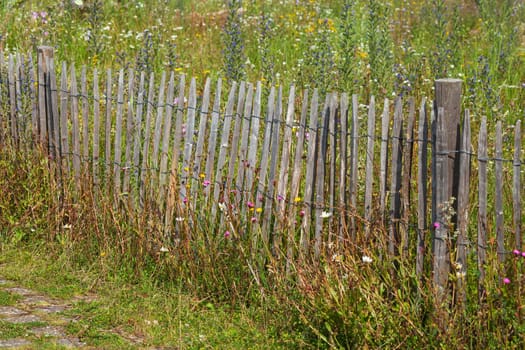 Old wooden garden fence with flower meadow, Germany