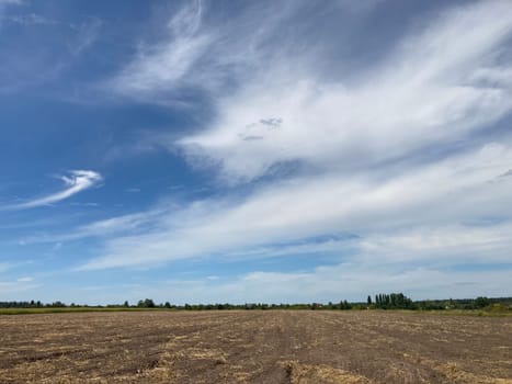Panorama of a field the after harvest
