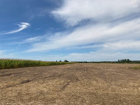 Panorama of a field the after harvest