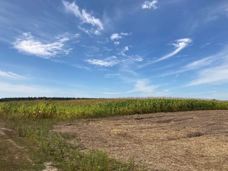 Panorama of a field the after harvest
