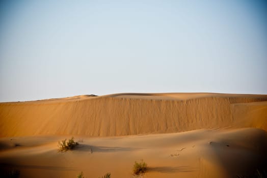 Desert dunes in Liwa, Abu Dhabi, United Arab Emirates during sunset