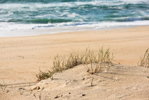 Sand beach of the basin of Arcachon, Capbreton, France