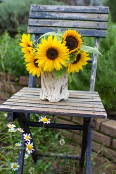 Sunflowers (helianthus) in a vase on chair in the garden