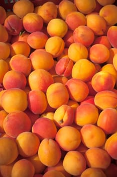 Ripe fresh apricots in a farmers market. Vertical shot with a selective focus