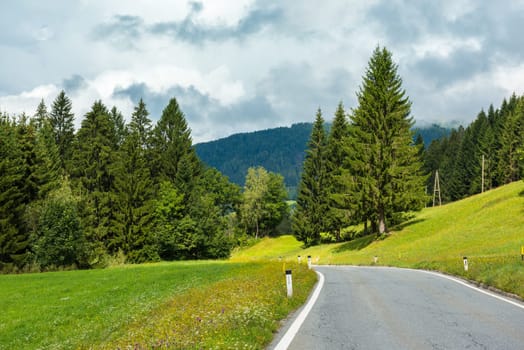 Winding Road Through Summer Forest. Horizontal shot