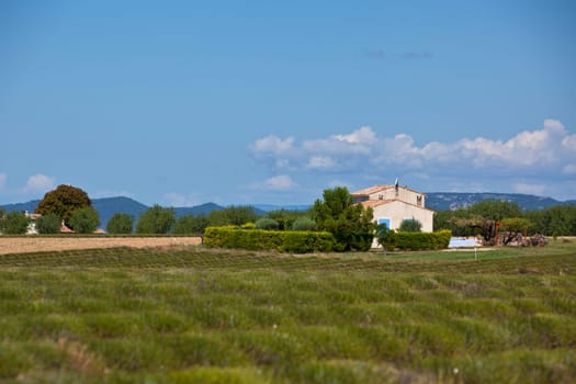 Rural house in a harvested lavender field, Valensole, Provence, France