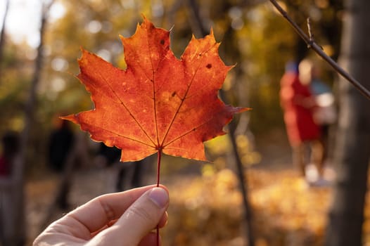 Maple leaf holding in hand on autumn bright yellow and orange background