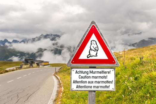 Caution marmots traffic sign on an Alpine road in Austria