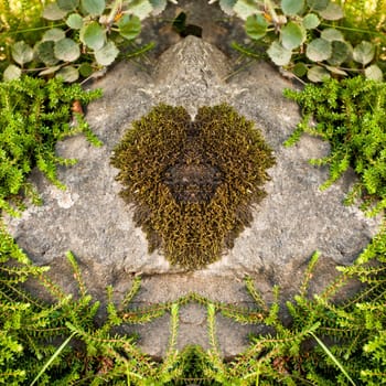 Moss Heart on a Stone. Love is Everywhere.