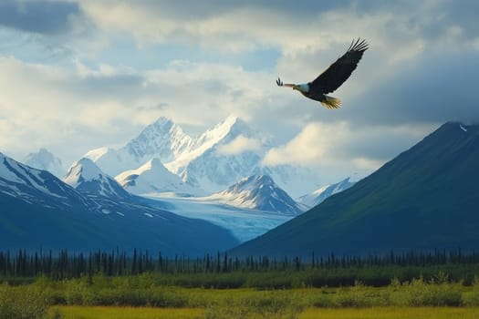 Majestic bald eagle flying over snow-capped mountains, evergreen forest, and glacier valley in wilderness landscape.