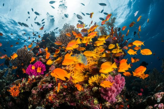 Diverse and colorful coral reef ecosystem teeming with tropical fish and vibrant marine life.