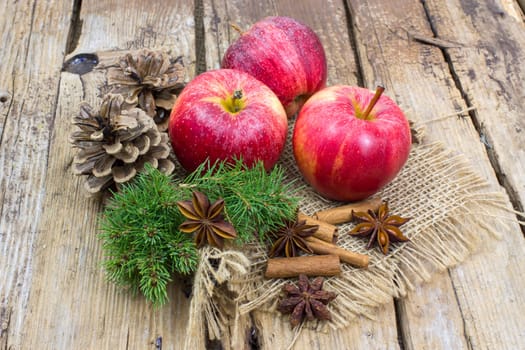 fresh apples, cinnamon sticks and star anise spices - christmas time