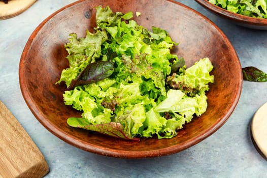 Mix of fresh green salad leaves. Keto or paleo diet