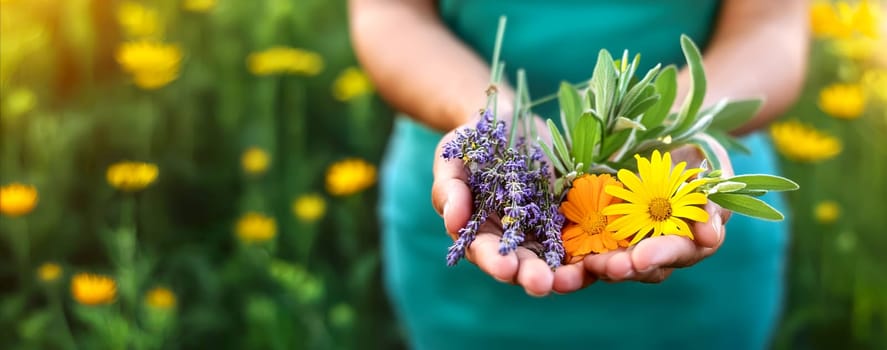 The cultivation of medicinal plants for tea and alternative medicine.