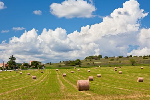Rural landscape with Farmland and Straw bales in Provence, France