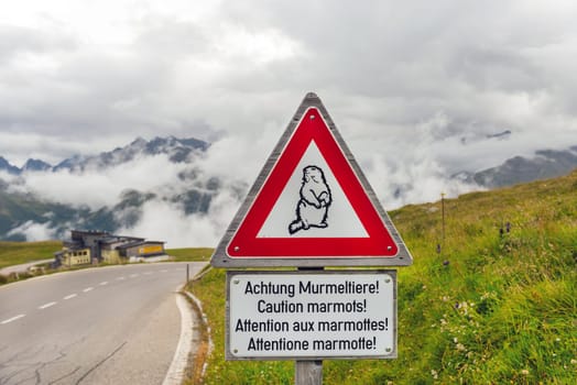 Caution marmots traffic sign on an Alpine road in Austria