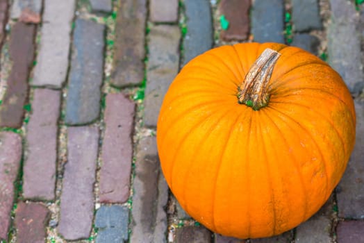 Orange pumpkin on a pavement background. Shot with selective focus