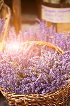Lavender bunches selling in a outdoor french market. Vertical shot with selective focus