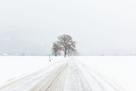 Winter Alpine landscape with road and trees