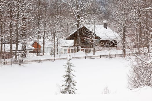 winter Alpine landscape with house and trees. horizontal shot