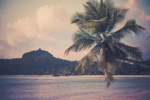 Tropical beach at Mahe island Seychelles. Horizontal filtered shot