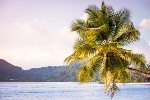 Tropical beach at Mahe island Seychelles. Horizontal filtered shot