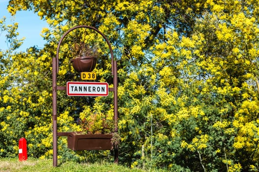 Road sign of Tanneron, small town in Provence-Alpes-Côte d'Azur, France. Part of Road of mimosa.