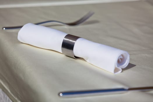Tableware: Steel Utensil and Napkin Ring. Horizontal shot