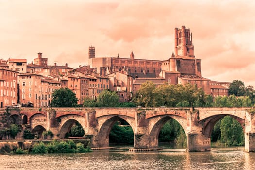 View of the August bridge and The Saint Cecile church in Albi, France. Horizontal filtered shot