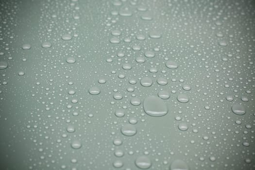 Water drops on green background. Horizontal shot